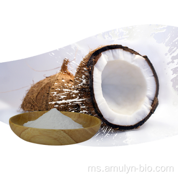 MCT serbuk serbuk penggantian serbuk kelapa